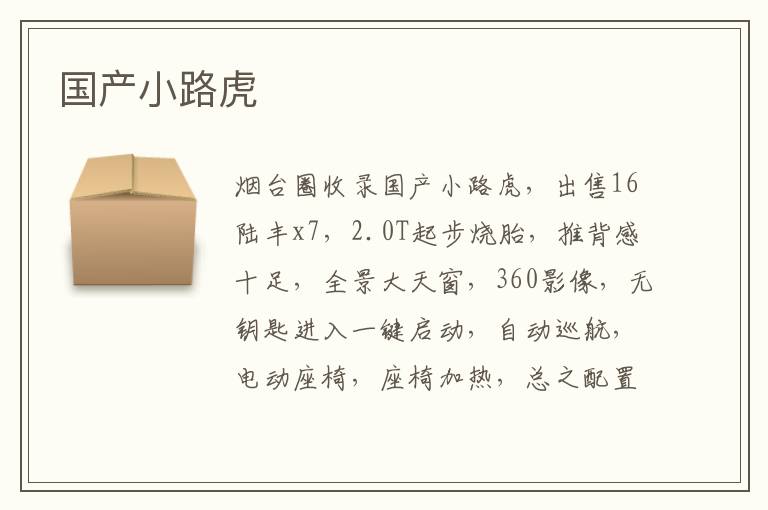 國(guó)產(chǎn)小路虎