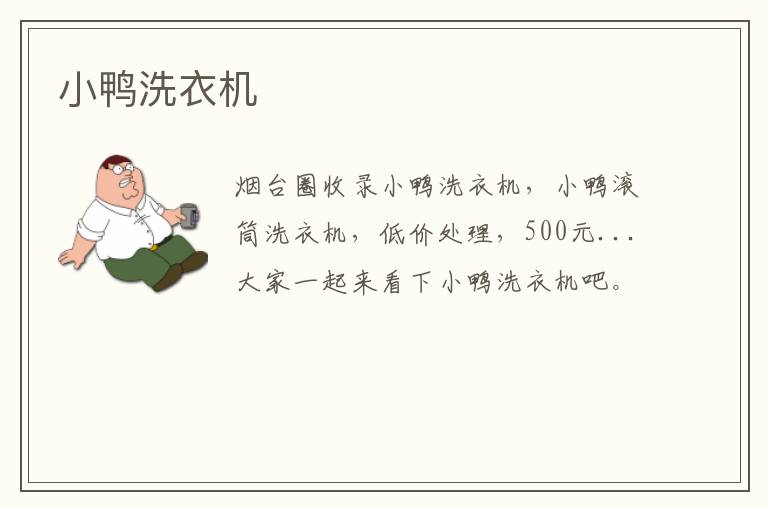 小鴨洗衣機