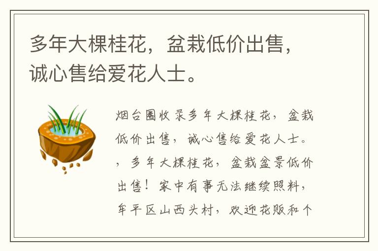 多年大棵桂花，盆栽低價(jià)出售，誠心售給愛花人士。