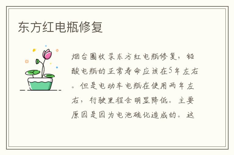 東方紅電瓶修復